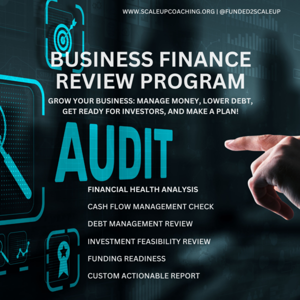 Business Finance Audit Program